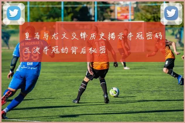皇马与尤文交锋历史揭示夺冠密码三次夺冠的背后秘密